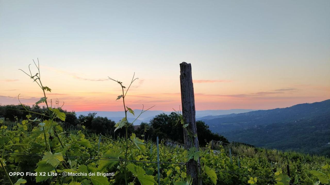 Agriturismo Macchia Dei Briganti - B&B Montefalcione Экстерьер фото