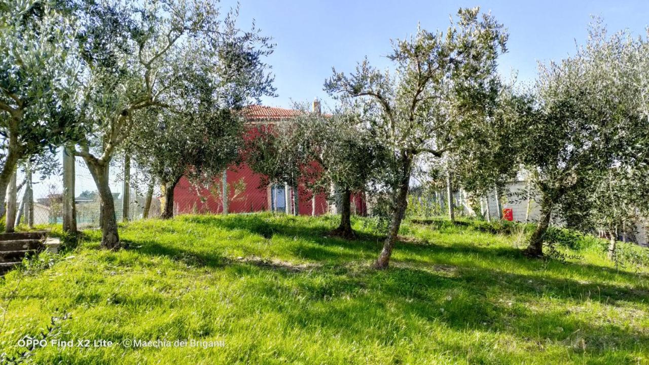 Agriturismo Macchia Dei Briganti - B&B Montefalcione Экстерьер фото