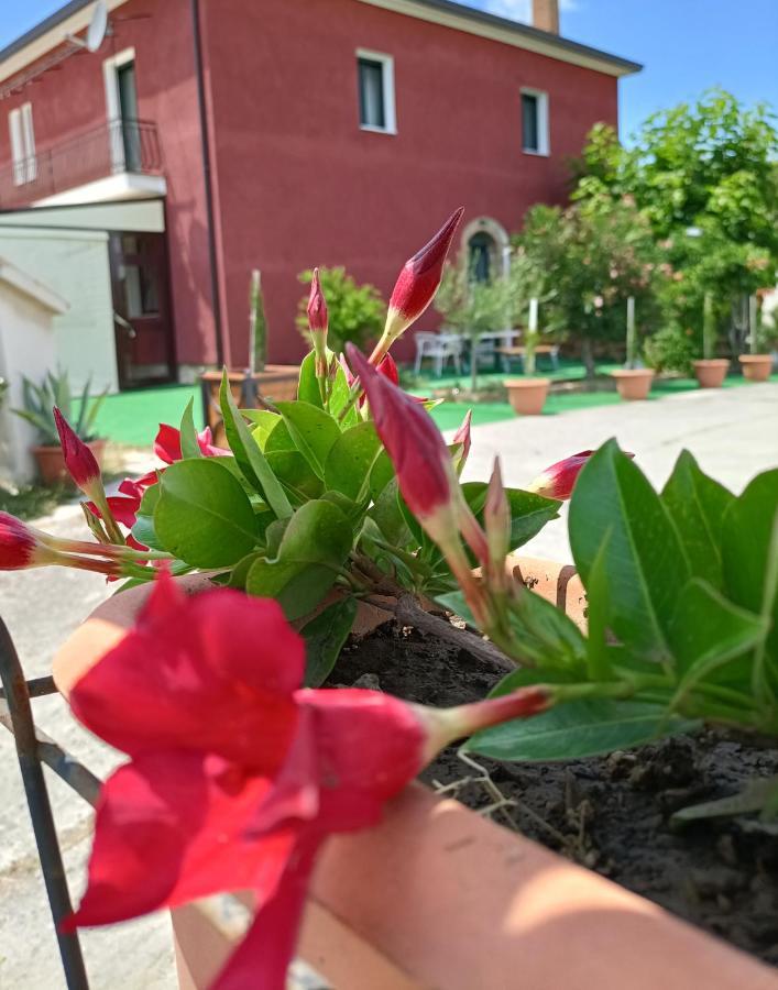 Agriturismo Macchia Dei Briganti - B&B Montefalcione Экстерьер фото